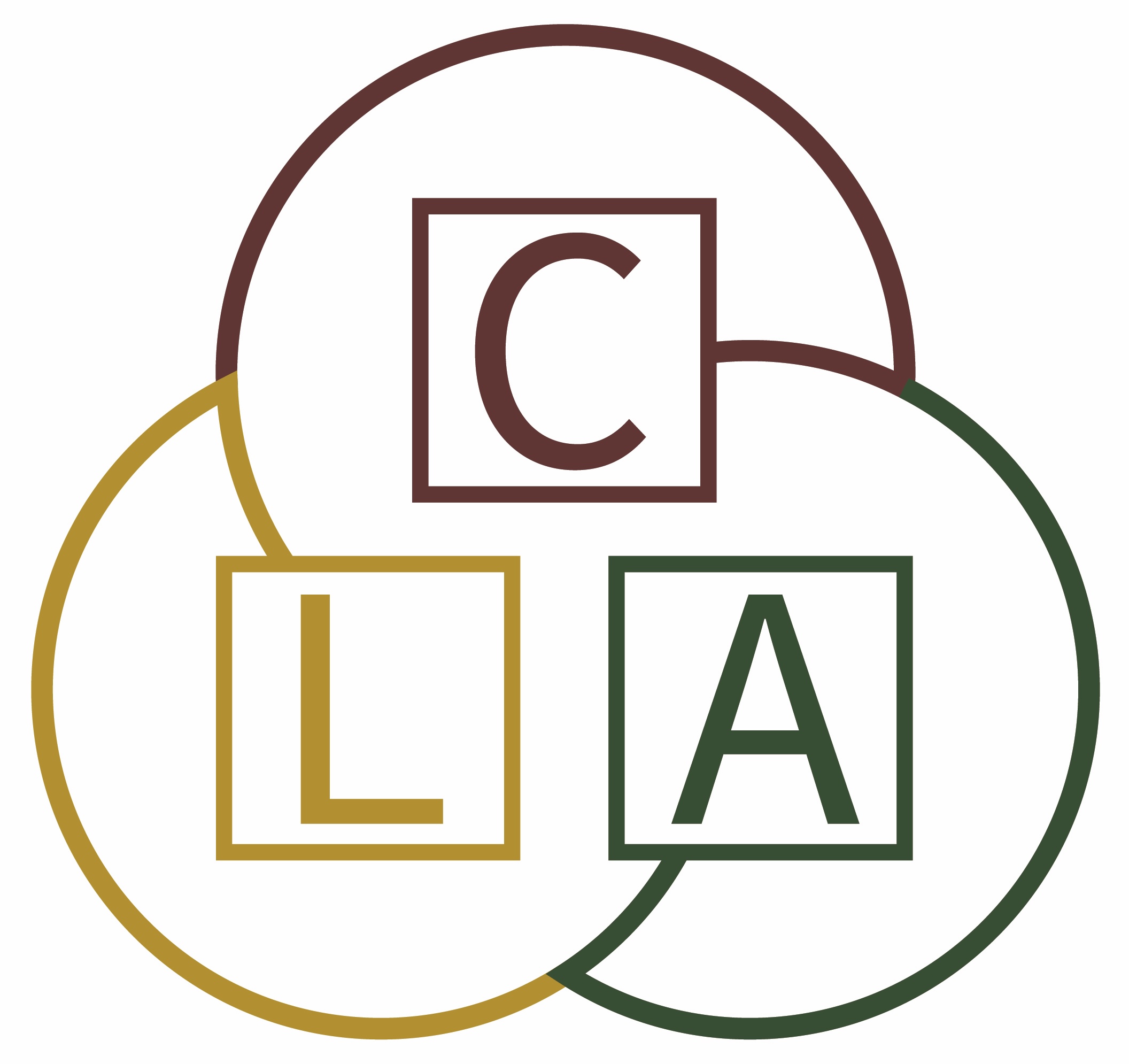 Lee CPAs & Associates LLC